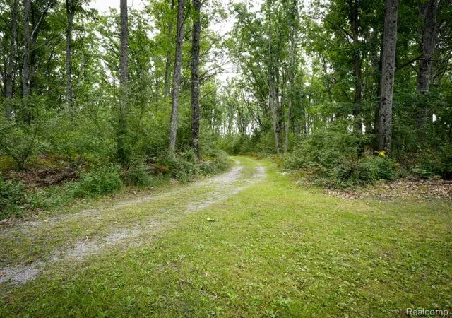 Photo 3 of Single family home for sale at 3894 W Hubbard Lake Trl, Caledonia Township Alcona, MI 49747 | MLS# 20261072399 | Listing updated on 2026-09-14