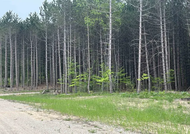 Photo 2 of Land for sale at Parcel B Theron Rd, Blair Township Grand Traverse, MI 49685 | MLS# 78080073347 | Listing updated on 2026-09-12