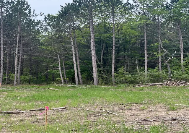 Land for sale at Parcel C Theron Rd, BlairTownship_GrandTraverse, MI 49685 | MLS# 78080073348