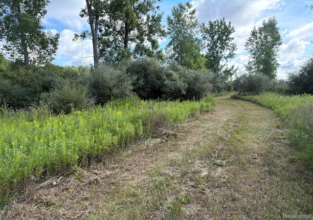 Land for sale at V/l Edwards Rd N, WatertownTownship_Tuscola, MI 48435 | MLS# 20261072501