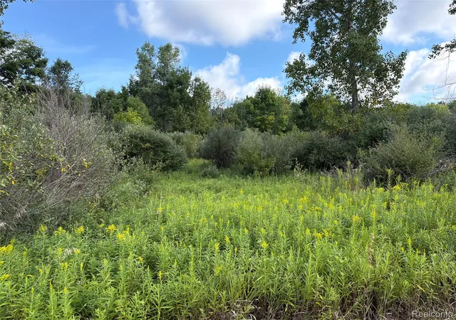 Photo 2 of Land for sale at V/l Edwards Rd N, Watertown Township Tuscola, MI 48435 | MLS# 20261072501 | Listing updated on 2026-09-17