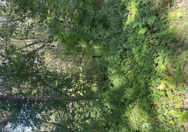 Photo 1 of Sale Pending at 0000 Thom Rd, Columbiaville, MI 48421 | MLS# 20261072599 | Listing updated on 2026-09-23