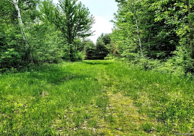Photo 4 of Land for sale at 4441 W Willard Rd, Birch Run, MI 48415 | MLS# 20261072705 | Listing updated on 2026-09-11