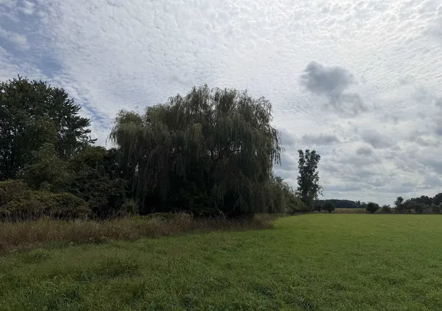 Photo 3 of Land for sale at 9000 Winans Rd, Alma, MI 48801 | MLS# 79080073369 | Listing updated on 2026-09-30
