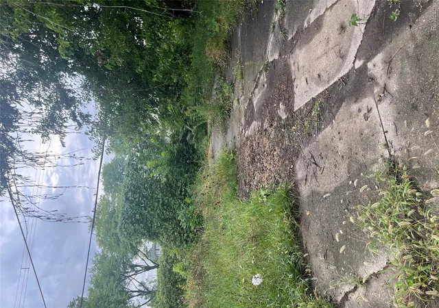 Photo 2 of Single family home for sale at 4721 Lakepointe St, Detroit, MI 48224 | MLS# 20261072819 | Listing updated on 2026-09-11