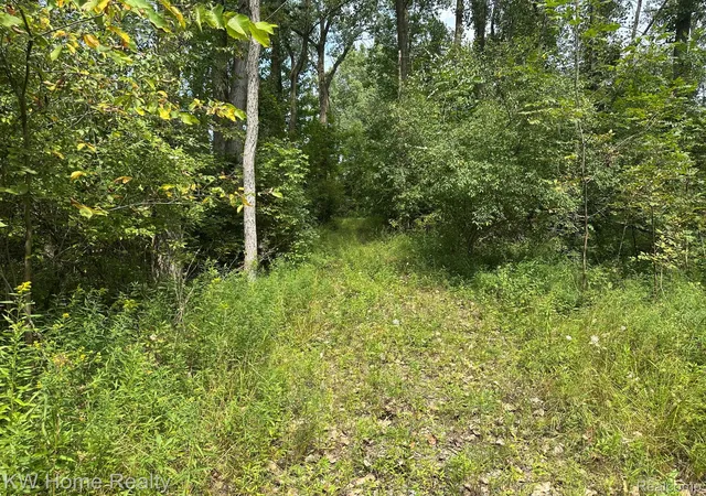 Photo 3 of Land for sale at 37778 Emerald Forest Driv Wells Rd, Wells Township Tuscola, MI 48723 | MLS# 20261073002 | Listing updated on 2026-09-10