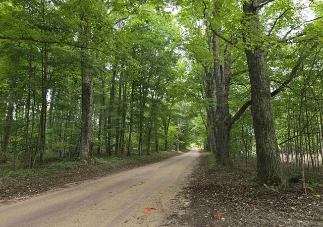 Photo 1 of Land for sale at 6306 Maidens Rd, Bear Lake, MI 49614 | MLS# 78080073399 | Listing updated on 2026-10-02