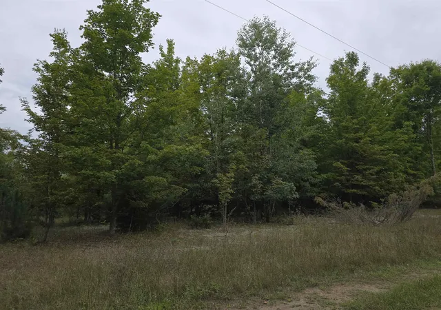 Photo 2 of Land for sale at 6306 Maidens Rd, Bear Lake, MI 49614 | MLS# 78080073399 | Listing updated on 2026-10-02