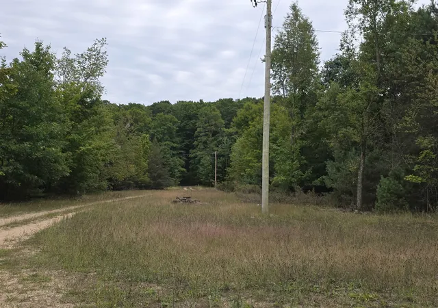 Photo 4 of Land for sale at 6306 Maidens Rd, Bear Lake, MI 49614 | MLS# 78080073399 | Listing updated on 2026-10-02