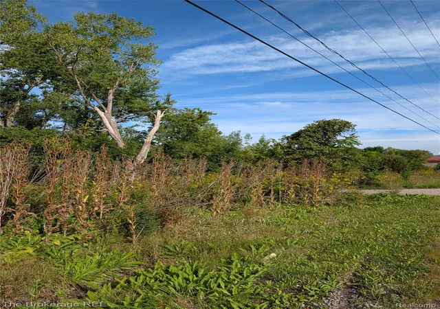 Photo 3 of Land for sale at 8064 Fenton Rd, Grand Blanc, MI 48439 | MLS# 20261073246 | Listing updated on 2026-09-11