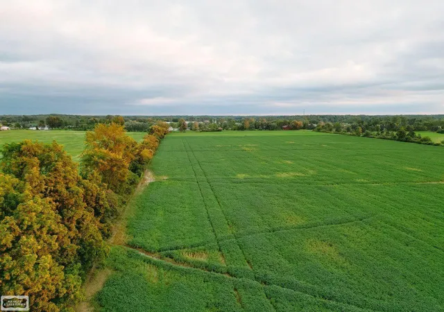 Photo 1 of Land for sale at 0 Memphis Rd, Riley Township St Clair, MI 48041 | MLS# 58050221468 | Listing updated on 2026-09-11