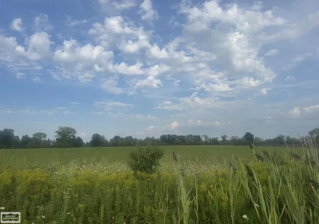 Photo 4 of Land for sale at 0 Memphis Rd, Riley Township St Clair, MI 48041 | MLS# 58050221468 | Listing updated on 2026-09-11