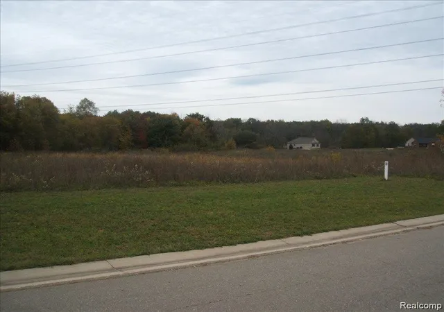 Photo 2 of Land for sale at 0000 Birch Meadows Ln, Fowlerville, MI 48836 | MLS# 20261073499 | Listing updated on 2026-09-11