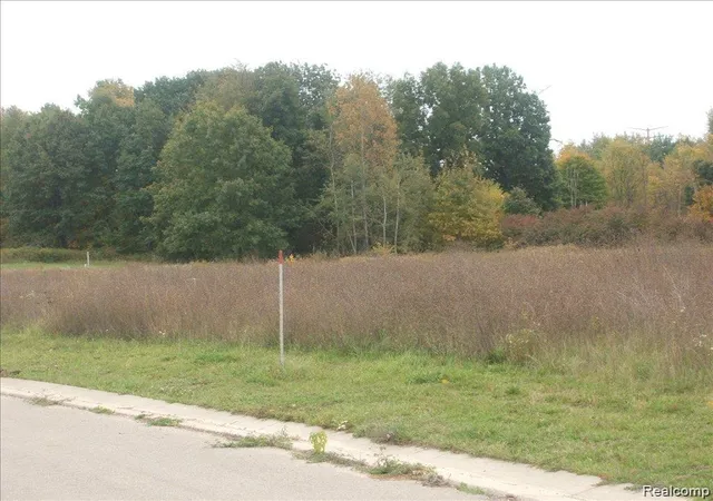 Photo 3 of Land for sale at 0000 Birch Meadows Ln, Fowlerville, MI 48836 | MLS# 20261073499 | Listing updated on 2026-09-11