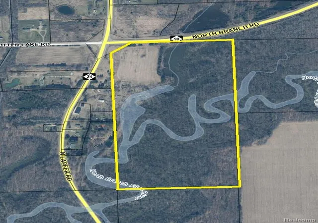Land for sale at 000 N North Branch Rd, DeerfieldTownship_Lapeer, MI 48435 | MLS# 20261073520