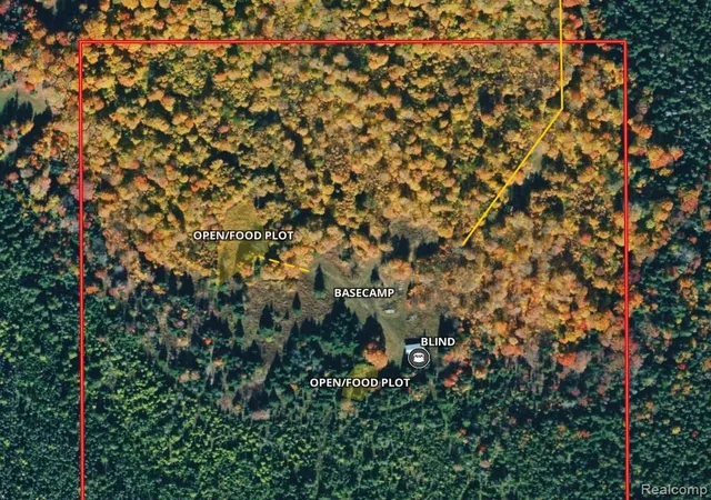 Photo 3 of Land for sale at 000 Camp 23 Rd, Mueller Township Schoolcraft, MI 49836 | MLS# 20261073518 | Listing updated on 2026-09-13