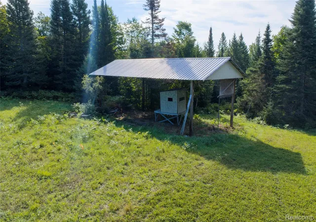 Photo 4 of Land for sale at 000 Camp 23 Rd, Mueller Township Schoolcraft, MI 49836 | MLS# 20261073518 | Listing updated on 2026-09-13