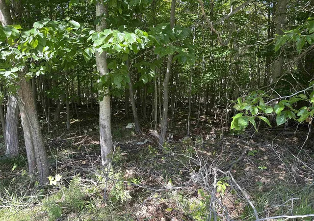 Photo 4 of Land for sale at Lots 33,34,35 Bay Colony Rd, Torch Lake Township Antrim, MI 49648 | MLS# 78080073462 | Listing updated on 2026-09-14