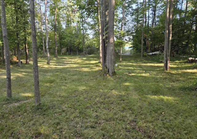 Photo 4 of Land for sale at Bass Lake 1-3 Partridge Trl, Elk Rapids, MI 49629 | MLS# 78080073613 | Listing updated on 2026-10-11