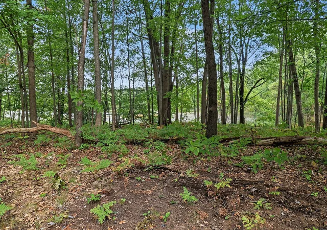 Photo 3 of Single family home for sale at 395 N Campbell Rd, Fountain, MI 49410 | MLS# 71026050166 | Listing updated on 2026-10-19