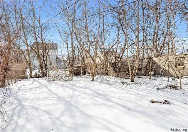 Photo 3 of Single family home for sale at 4673 French Rd, Detroit, MI 48214 | MLS# 20261076883 | Listing updated on 2026-10-06