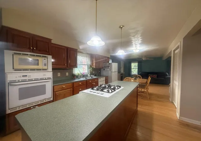 Photo 3 of Single family home for sale at 4751 Nims Rd, Leslie, MI 49251 | MLS# 55026050930 | Listing updated on 2026-10-16