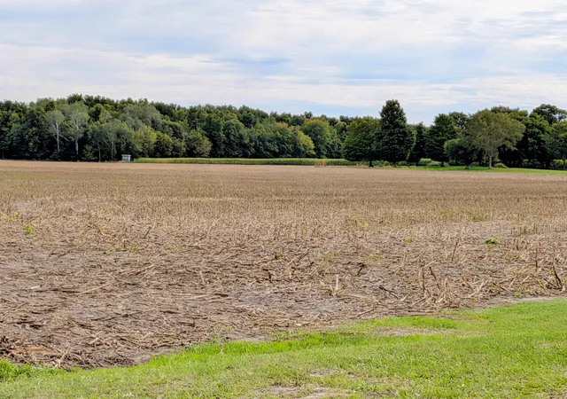 Photo 2 of Land for sale at 516 N Pingree Rd, Sumner, MI 48889 | MLS# 79080073954 | Listing updated on 2026-10-22