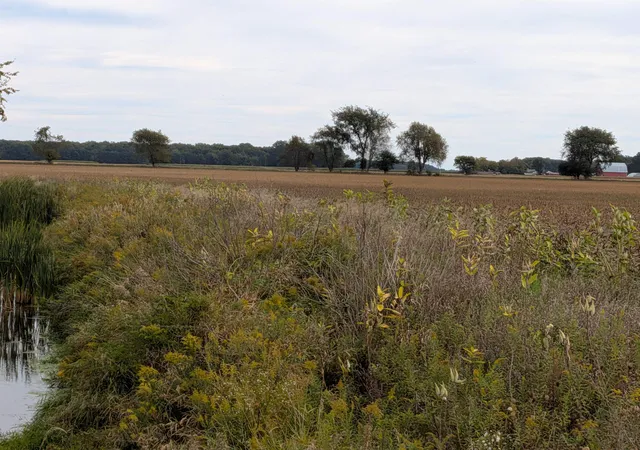 Photo 3 of Land for sale at 516 N Pingree Rd, Sumner, MI 48889 | MLS# 79080073954 | Listing updated on 2026-10-22