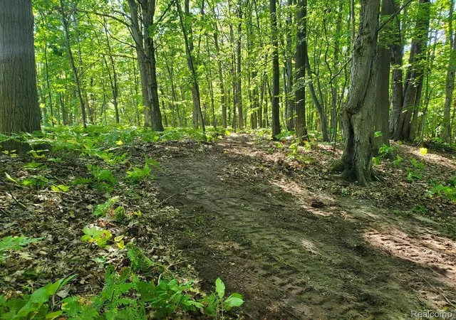 Photo 1 of Land for sale at 8204 Partridge Woods, Elk Rapids, MI 49629 | MLS# 20261077996 | Listing updated on 2026-10-08