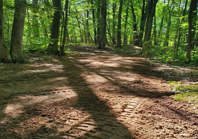 Photo 2 of Land for sale at 8204 Partridge Woods, Elk Rapids, MI 49629 | MLS# 20261077996 | Listing updated on 2026-10-08