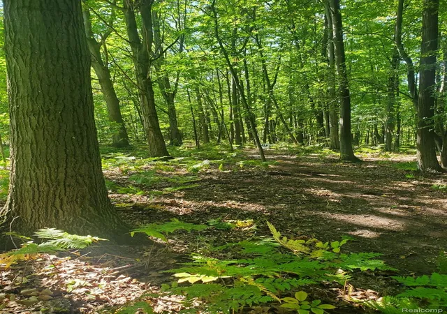 Photo 3 of Land for sale at 8204 Partridge Woods, Elk Rapids, MI 49629 | MLS# 20261077996 | Listing updated on 2026-10-08