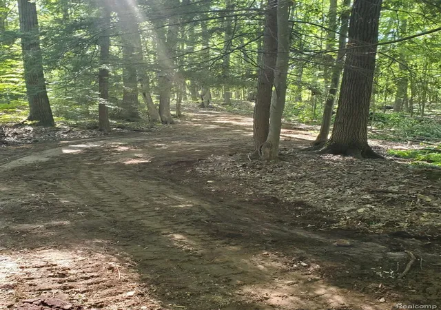 Photo 4 of Land for sale at 8204 Partridge Woods, Elk Rapids, MI 49629 | MLS# 20261077996 | Listing updated on 2026-10-08