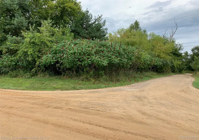 Photo 3 of Land for sale at 00 Miller Lake Rd, Columbiaville, MI 48421 | MLS# 20261078252 | Listing updated on 2026-10-06