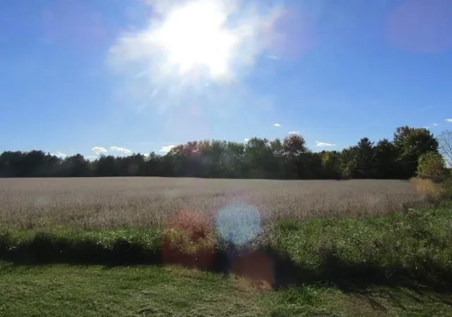 Photo 1 of Sale Pending at Garrison Rd, Laingsburg, MI 48848 | MLS# 60050223226 | Listing updated on 2026-10-12