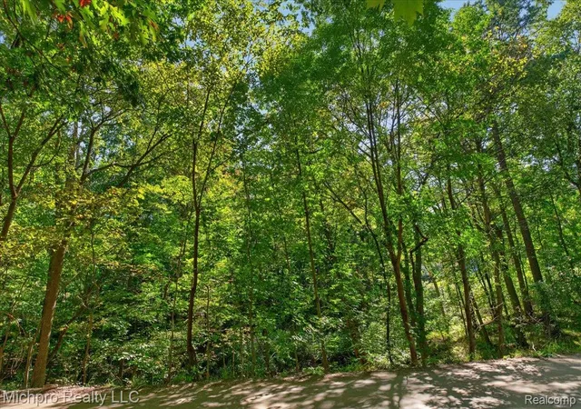 Photo 3 of Land for sale at 2899 Indian Lake Rd, Oxford, MI 48370 | MLS# 20261079043 | Listing updated on 2026-10-05