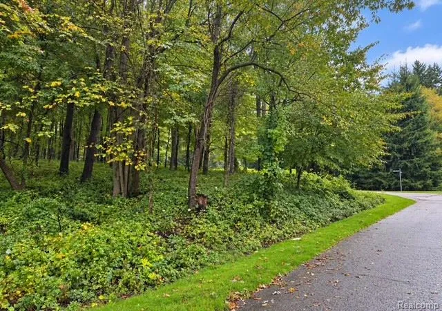 Photo 1 of Land for sale at 0 Fieldstone Ridge, Clarkston, MI 48348 | MLS# 20261079183 | Listing updated on 2026-10-21