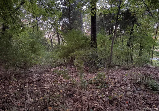 Photo 2 of Land for sale at 413 S Lafayette Sandy Crk Dr, South Lyon, MI 48178 | MLS# 20261079489 | Listing updated on 2026-10-04