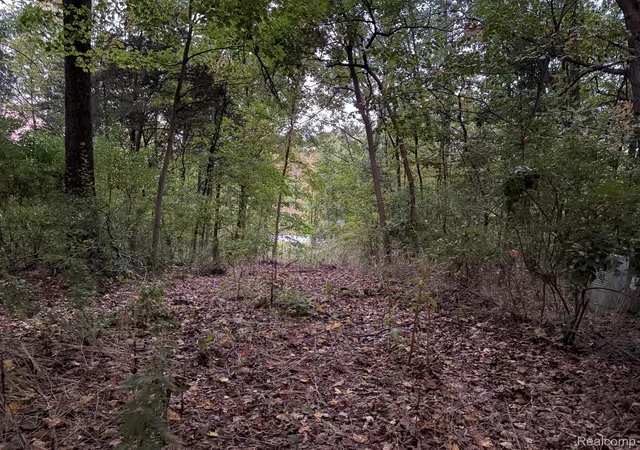Photo 3 of Land for sale at 413 S Lafayette Sandy Crk Dr, South Lyon, MI 48178 | MLS# 20261079489 | Listing updated on 2026-10-04