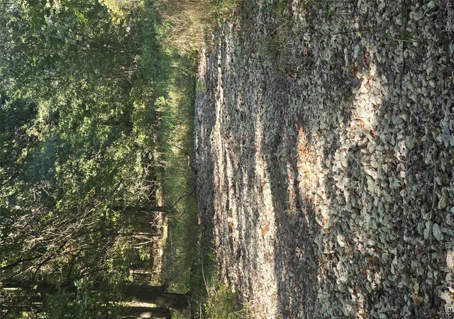 Photo 1 of Land for sale at 18800 Martinsville Rd, Belleville, MI 48111 | MLS# 20261080303 | Listing updated on 2026-10-09