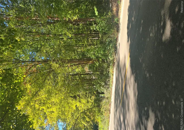 Photo 3 of Land for sale at 18800 Martinsville Rd, Belleville, MI 48111 | MLS# 20261080303 | Listing updated on 2026-10-09