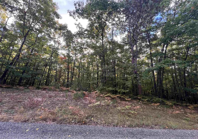 Land for sale at Lot 53 Bramblewood Dr, Cadillac, MI 49601 | MLS# 78080074239