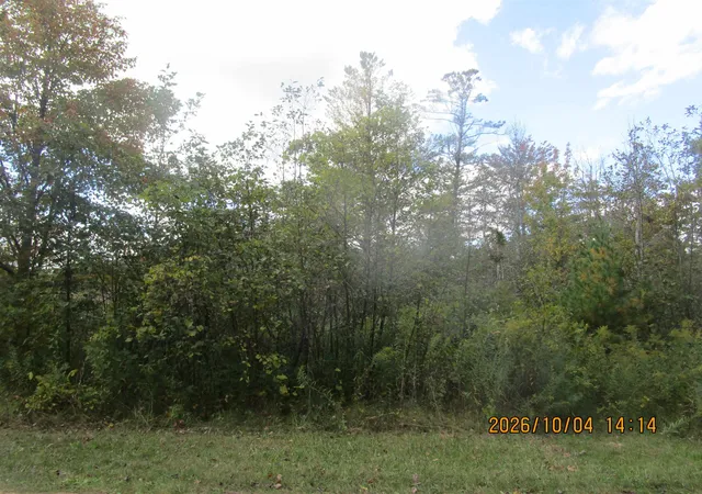 Photo 1 of Land for sale at 00 Ausable Point Rd, East Tawas, MI 48730 | MLS# 77080074244 | Listing updated on 2026-10-08