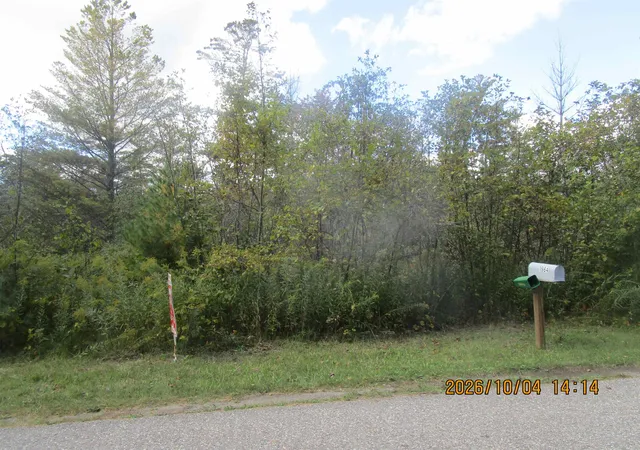 Photo 3 of Land for sale at 00 Ausable Point Rd, East Tawas, MI 48730 | MLS# 77080074244 | Listing updated on 2026-10-08