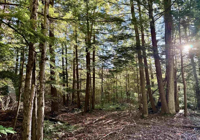 Land for sale at V/l E 30 Road, Cadillac, MI 49601 | MLS# 78080074259