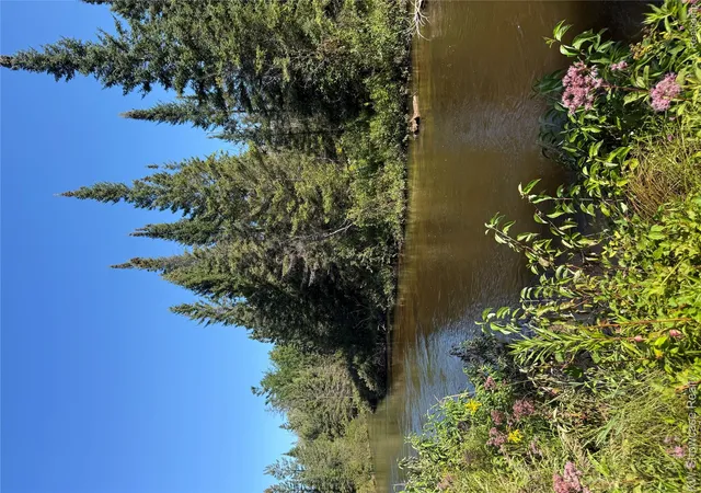 Photo 1 of Land for sale at 9191 M 33, Atlanta, MI 49709 | MLS# 20261080764 | Listing updated on 2026-10-20