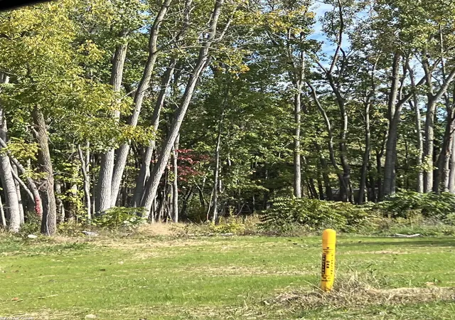 Photo 1 of Land for sale at 0 Walnut Dr, St Clair City St Clair, MI 48054 | MLS# 58050223991 | Listing updated on 2026-10-06
