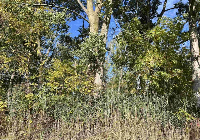 Photo 3 of Land for sale at 0 Walnut Dr, St Clair City St Clair, MI 48054 | MLS# 58050223991 | Listing updated on 2026-10-06
