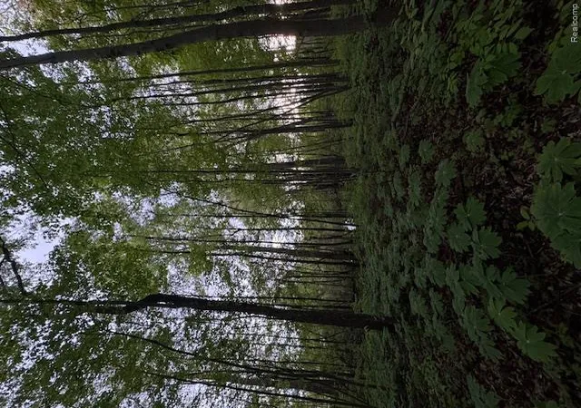 Photo 3 of Land for sale at Vl Lot D Trl Chevron, Highland Charter Township Oakland, MI 48356 | MLS# 20261081012 | Listing updated on 2026-10-06