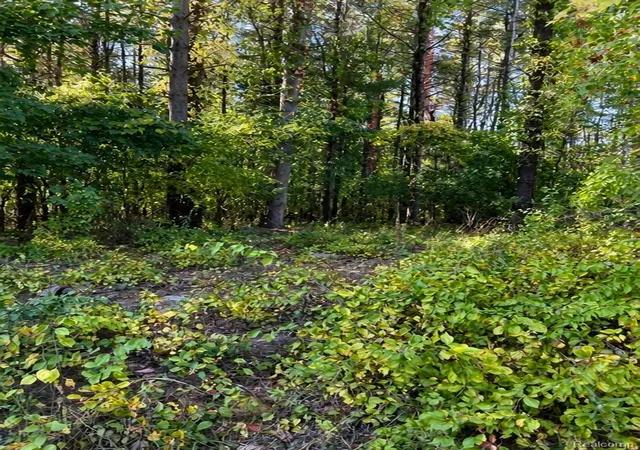 Photo 2 of Land for sale at 3743 Kerriel Ct, Commerce Township, MI 48382 | MLS# 20261081140 | Listing updated on 2026-10-21