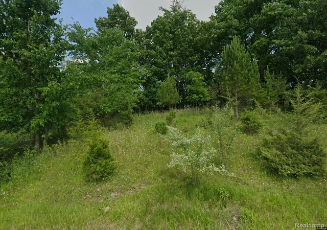 Photo 1 of Land for sale at 1465 Mcmillan Rd, Owosso, MI 48867 | MLS# 20261081455 | Listing updated on 2026-10-07